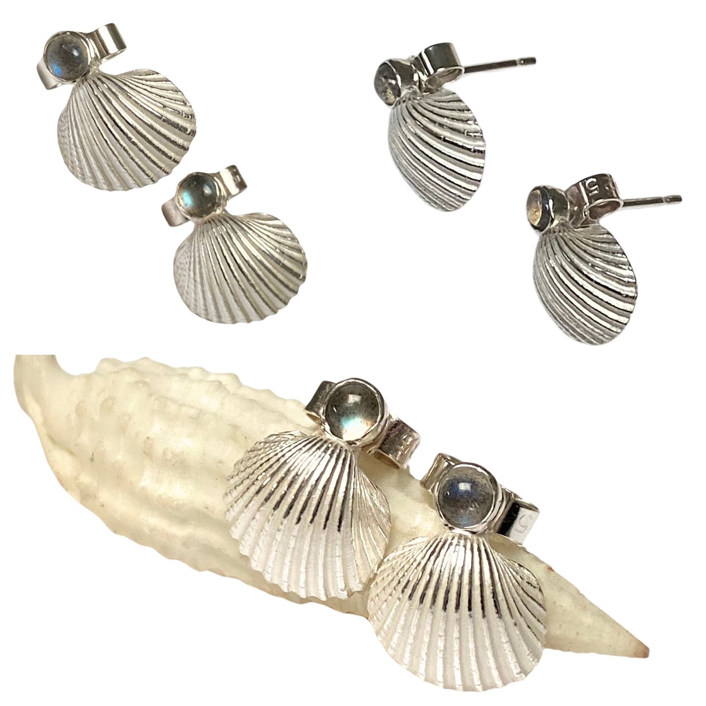 Dainty Silver Shell Stud Earrings