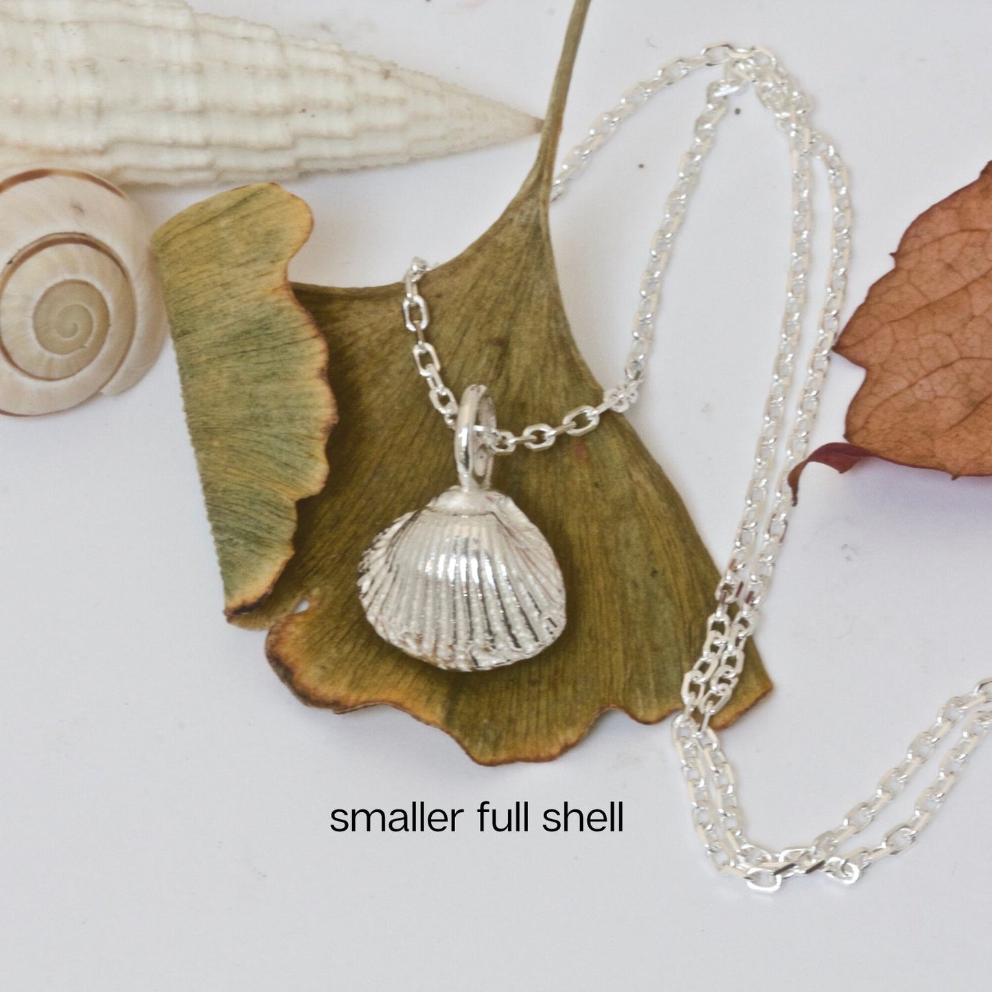 Shell Necklace in sterling silver