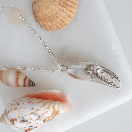 Crab Claw Necklace, Cancer Zodiac Sign Necklace