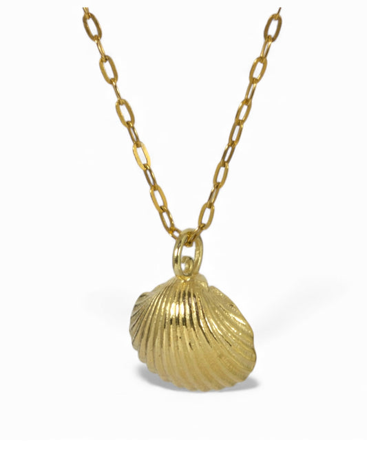 Gold Vermeil Shell Pendant on 24 Inch Diamond Cut Trace Chain