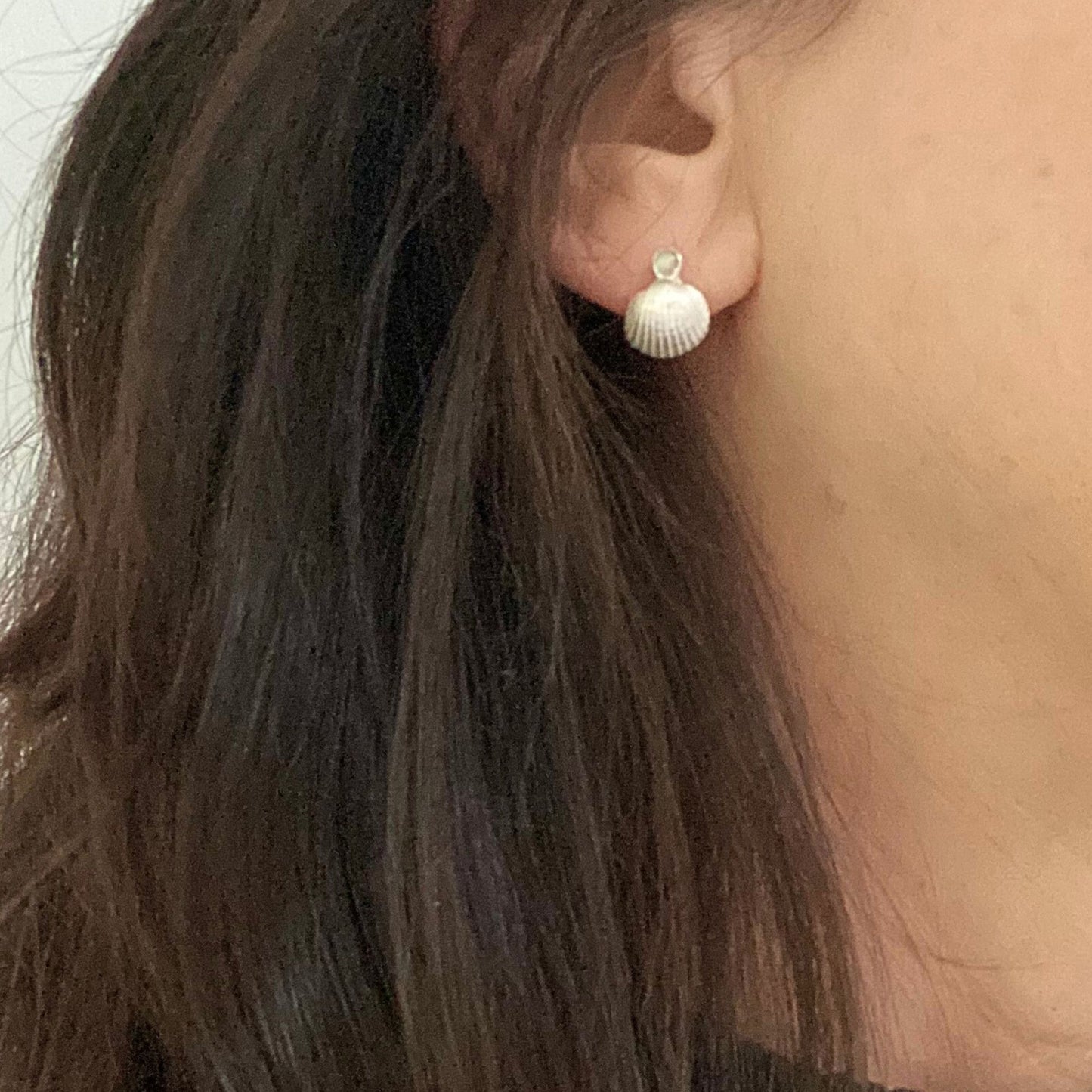 Dainty Silver Shell Stud Earrings