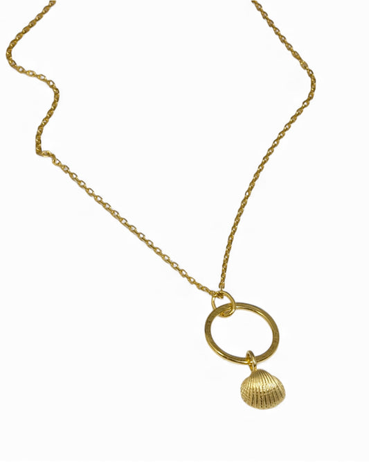 Gold necklace with a shell pendant on a white background