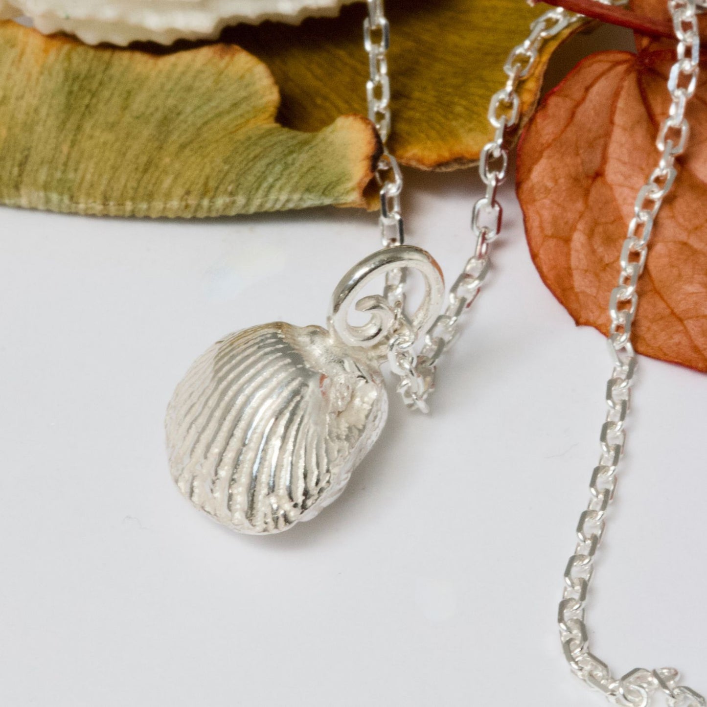 Shell Necklace in sterling silver
