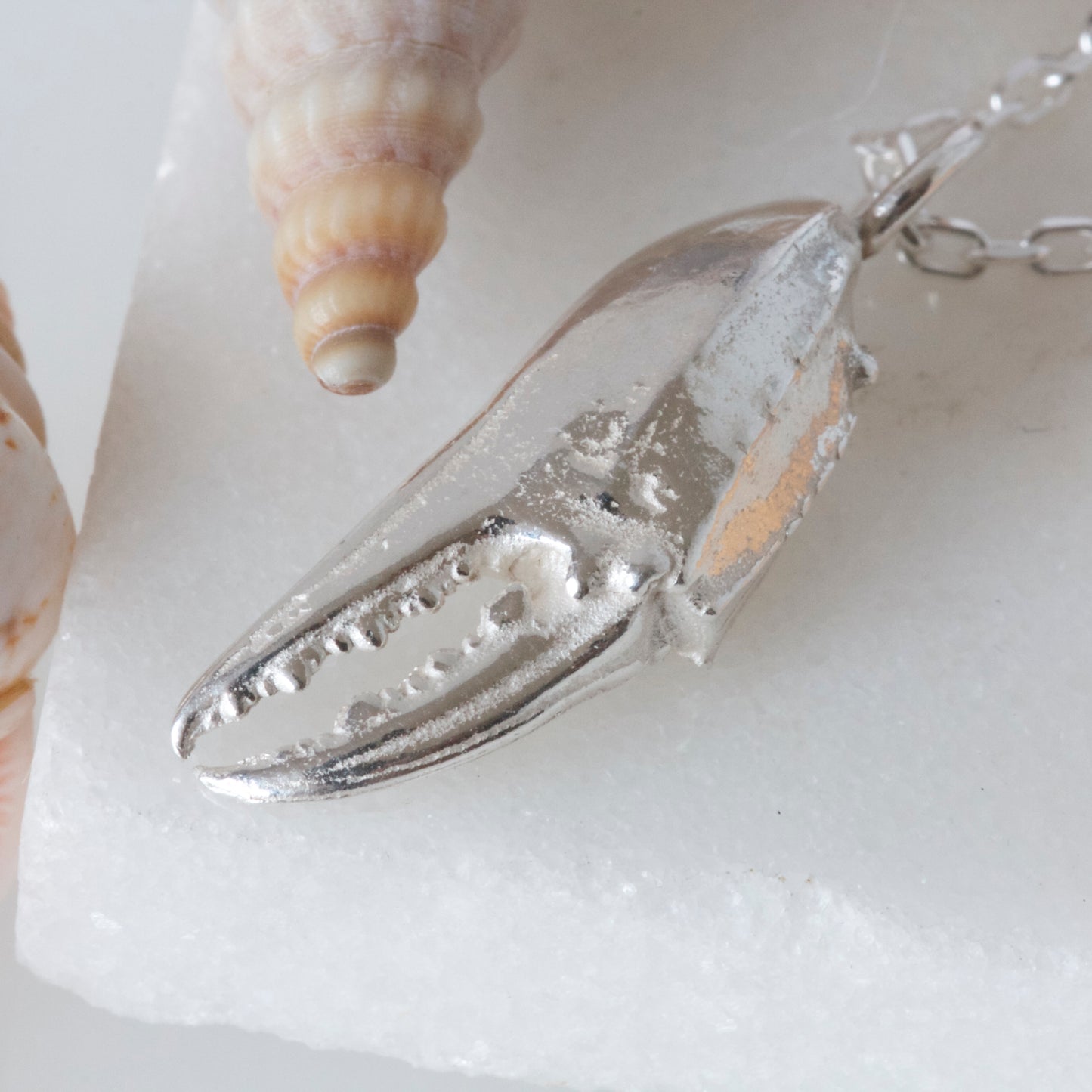 Crab Claw Necklace, Cancer Zodiac Sign Necklace